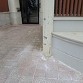 Via Borsellino, scatta l'allarme per una presunta sostanza tossica: «Intervenite subito»