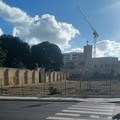 Piantumati dodici alberi a Villa Telesio