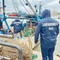 Porto di Trani, nuovo blitz contro la vendita abusiva di pesce
