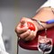 Emergenza sangue 0 negativo a Trani, l’appello dell'Avis
