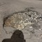 Via Ragazzi del ’99, strada colabrodo: enorme buca sull'asfalto