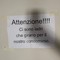 Via Tolomeo, dopo l'allarme arrivano i furti: residenti in allerta
