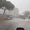 Trani sferzata da una violenta grandinata, crollano due pini in via Papa Giovanni