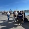 Controlli dei Nas sul porto di Trani, tensione tra pescatori e forze dell’ordine