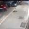 Inseguimento nella notte a Trani: due giovani identificati dopo lo schianto in centro