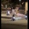 Trani, moto sulla battigia di Colonna tra risate e video social: «Non è solo un problema di controlli»
