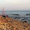 IReport – Avvistato un lupo a Boccadoro alle prime luci dell'alba: crescono le segnalazioni nella BAT