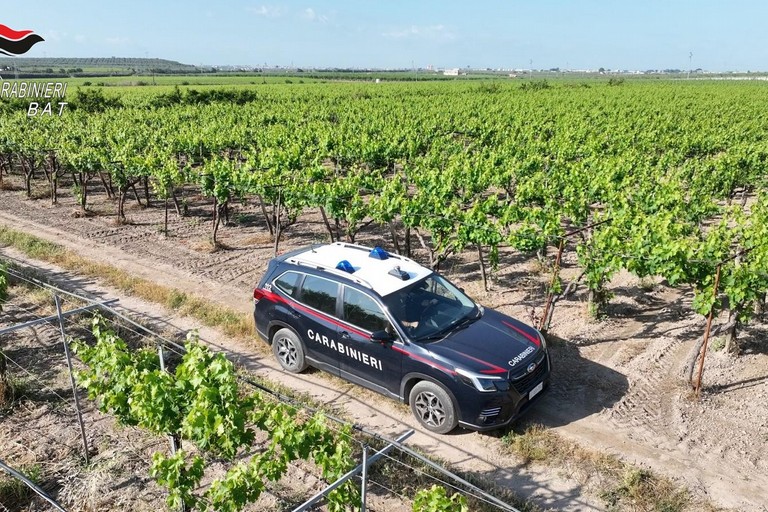 Carabinieri Trani. <span>Foto Credits</span>