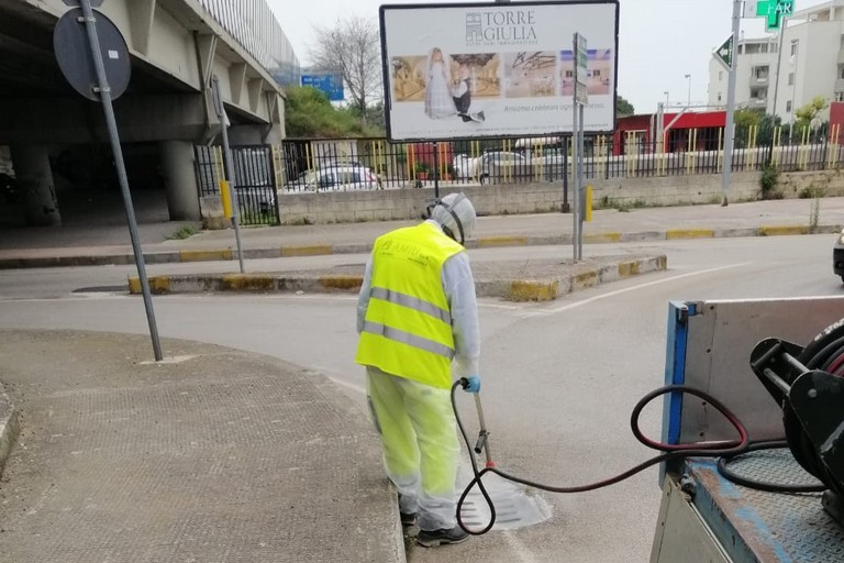 Blatte a Trani, scatta l’ordinanza del sindaco