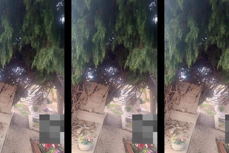 Civico Cimitero di Trani dopo il maltempo