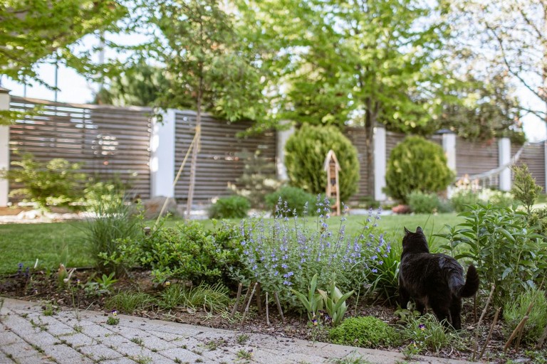 Giardino