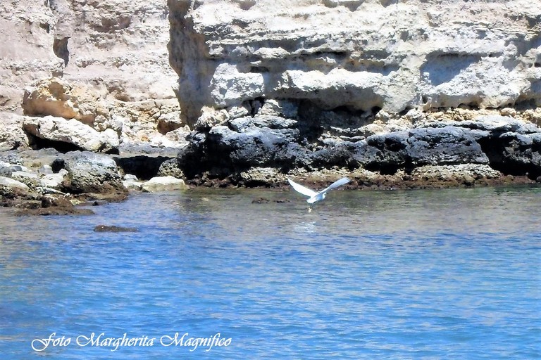 Baia del Gruccione