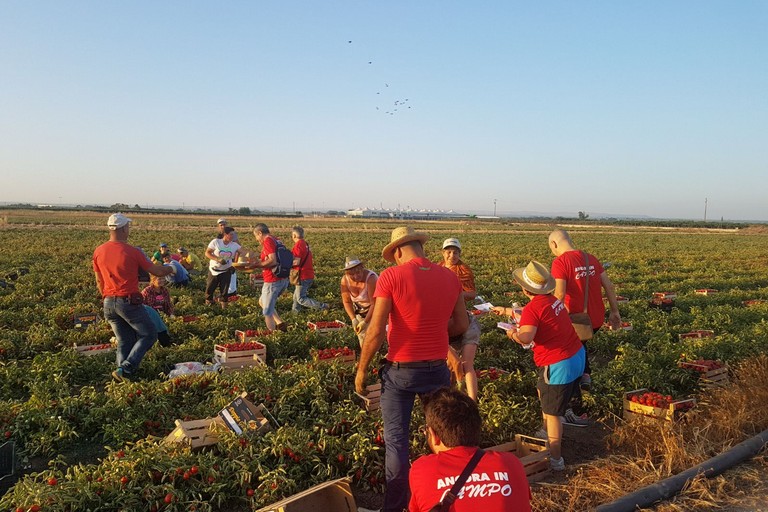 Campagna informativa Cgil per i braccianti