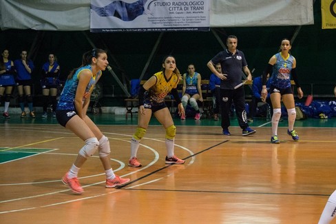 Adriatica volley