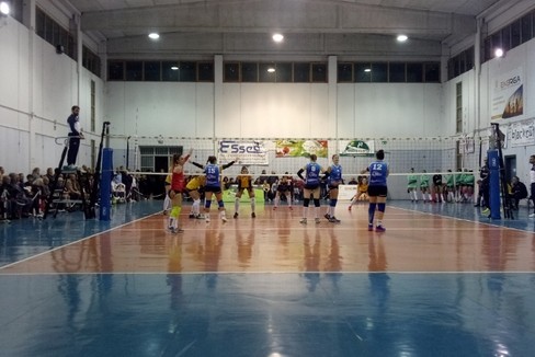 Lavinia Group Volley