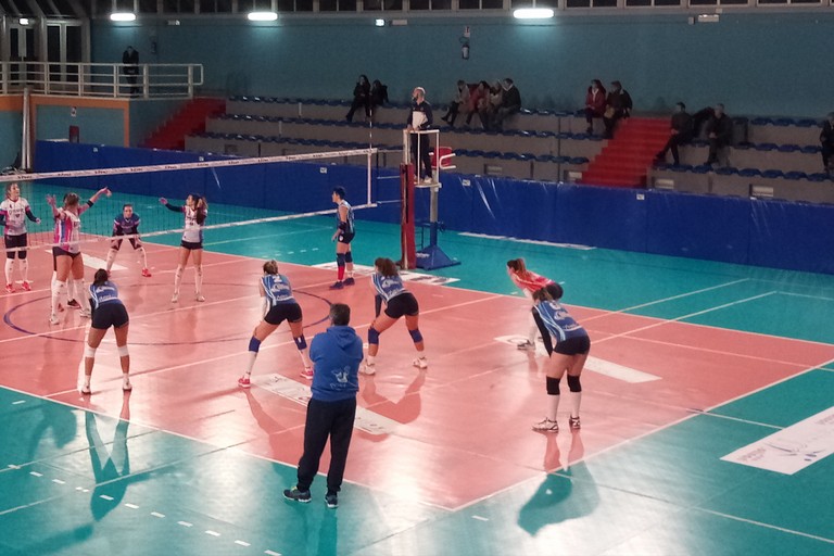 Lavinia Group Volley
