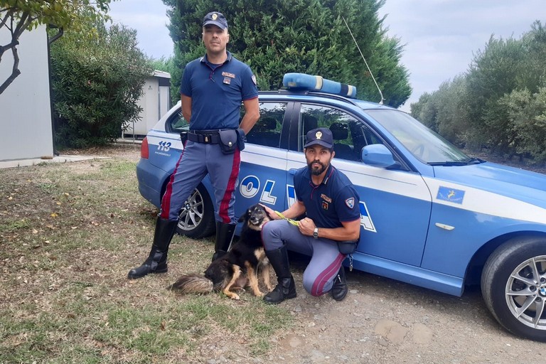 Polizia