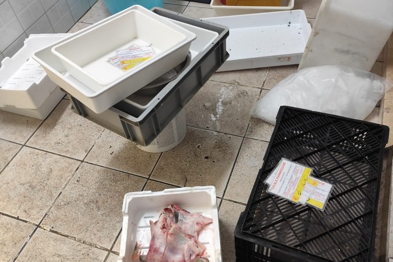 Controlli della Polizia di Stato