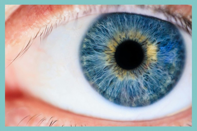 Iride occhio