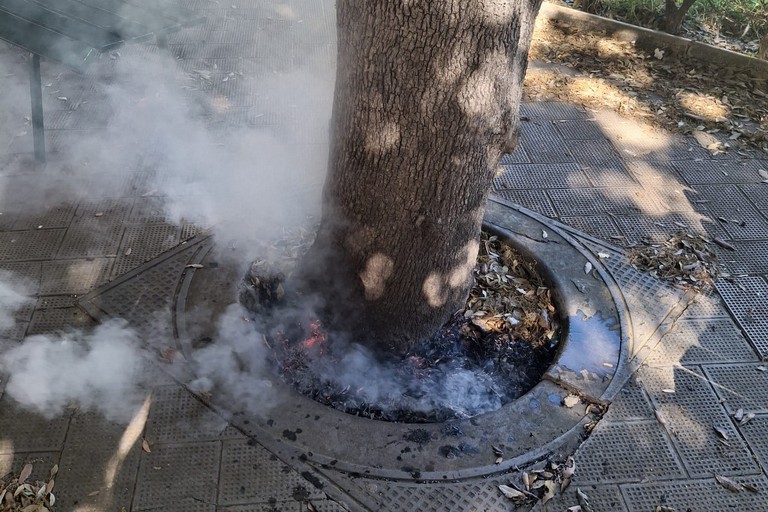 Incendio