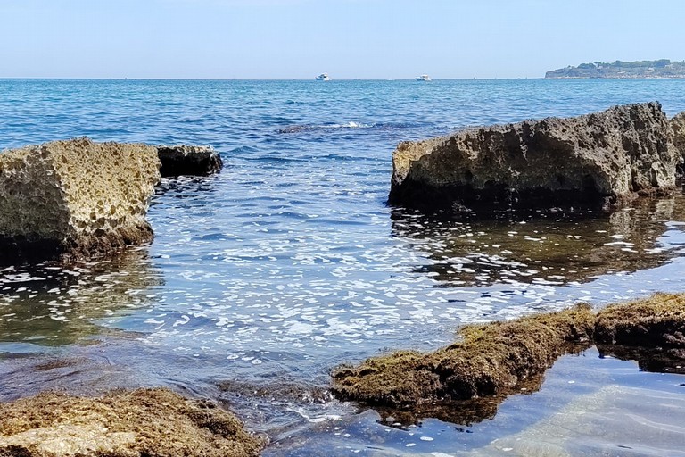 Schiuma alle Conche