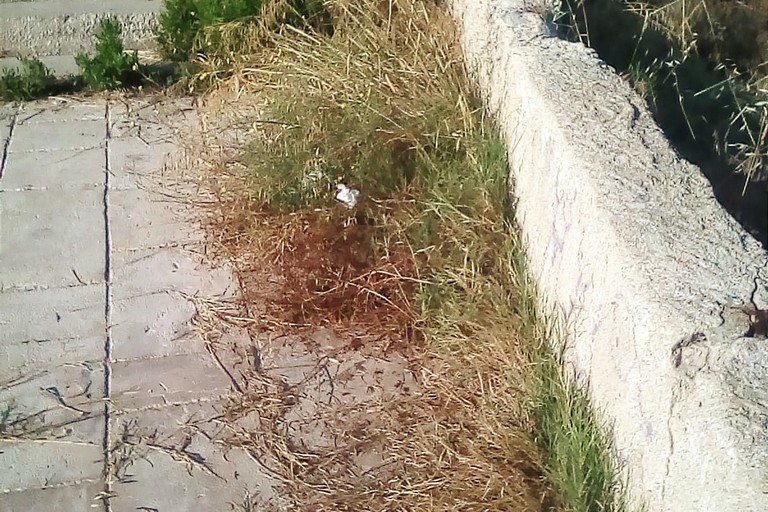 Terrazza Mongelli