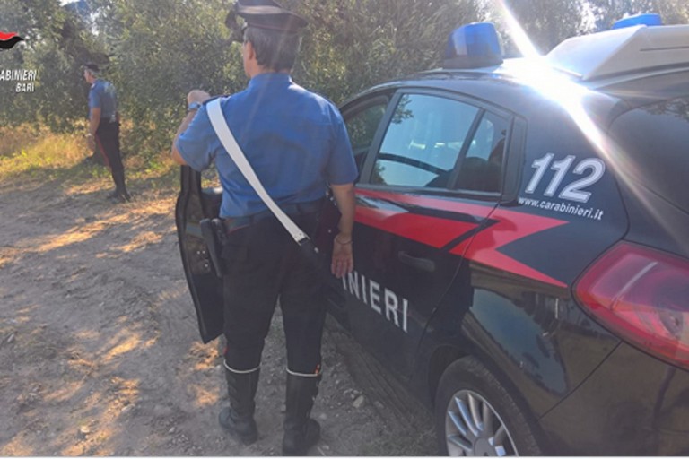 Carabinieri di Trani
