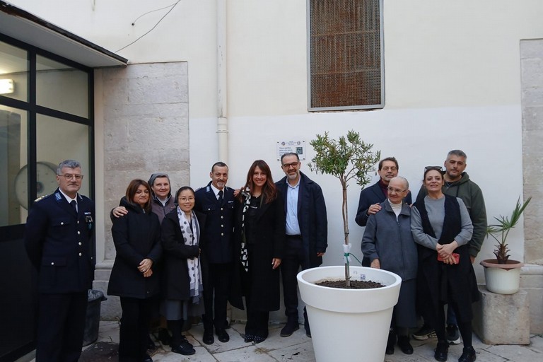 “L’Ulivo di Gino”: un simbolo di pace e dignità negli Istituti Penitenziari di Trani