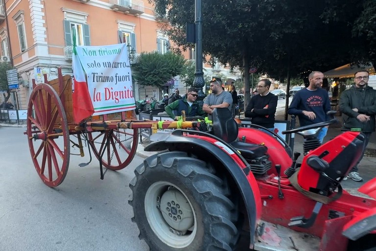 Manifestazoine contro il 