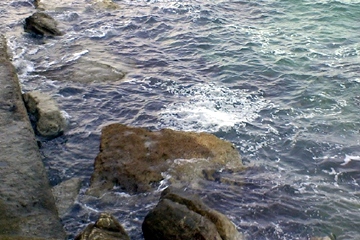 mare chiazze 1