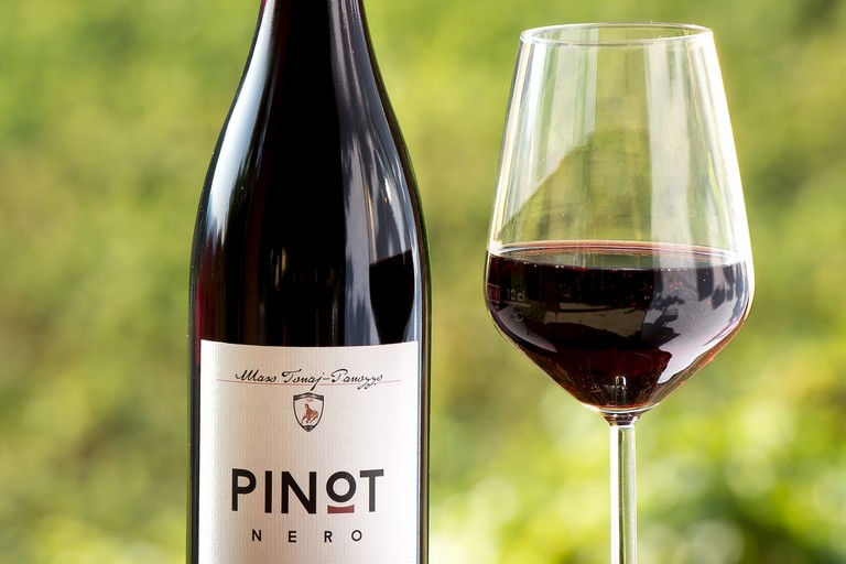 Pinot nero