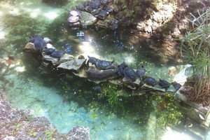 Piscina della Villa Comunale