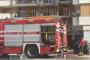 12071620 10205021389041453 889971656 n