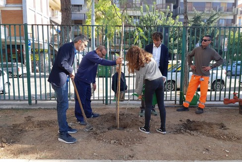 Piantumazione nuovi alberi alla scuola Baldassarre