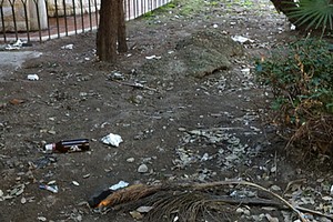 Aiuole in piazza della Repubblica