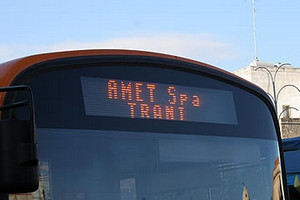 amet trani autobus