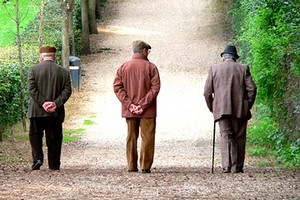 Anziani nel parco