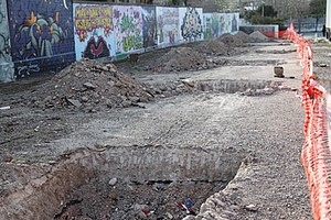 Buche per gli alberi di ulivo
