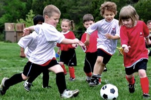 Calcio, pulcini