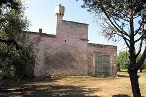 Omicidio De Girolamo nelle campagne di Bisceglie