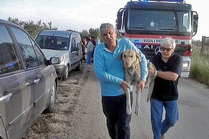 Cane intrappolato in un deposito: salvato dai pompieri