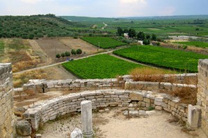 Canne della battaglia