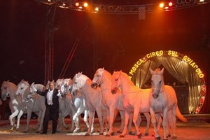 Circo Lidia Togni