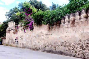 Giardino di Villa Telesio