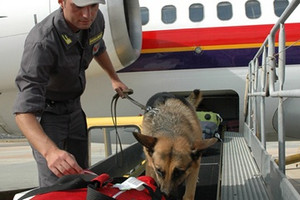 Guardia di Finanza - Squadra Cinofili