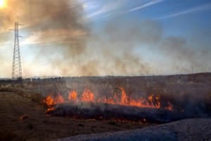 Incendio in un terreno agricolo