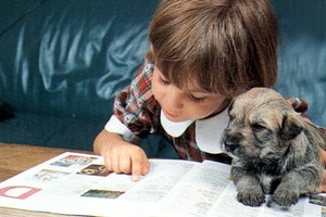 Bambina con cane