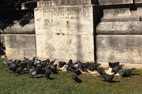 Chili di pane gettati ai piedi della statua di Giovanni Bovio