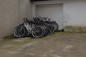 Bike sharing: ecco le biciclette