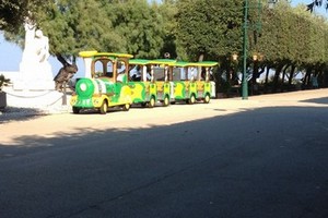 Trenino elettrico
